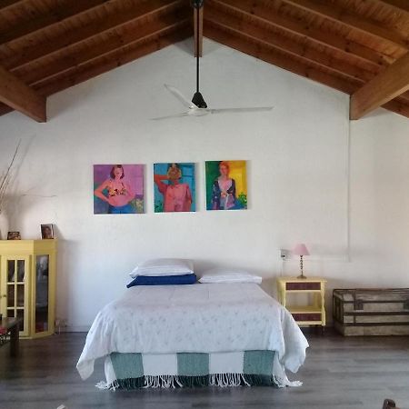 La Casa De Los Murales Avellaneda  Zewnętrze zdjęcie