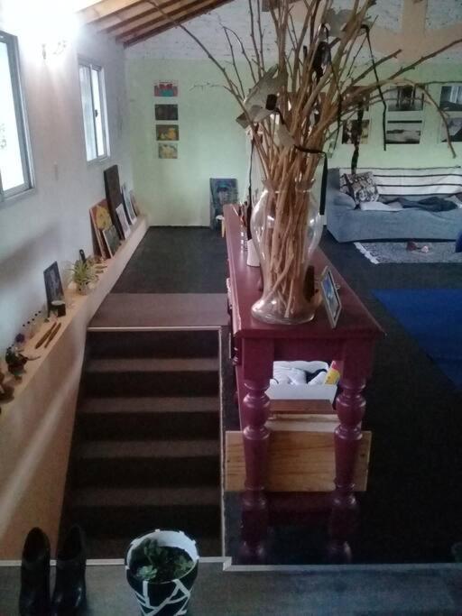 La Casa De Los Murales Avellaneda  Zewnętrze zdjęcie